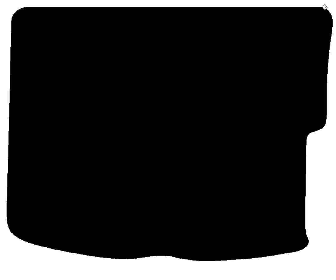 Citroen Picasso 2000-2010 Boot Mat