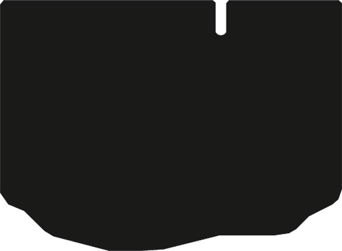 Ford Fiesta MK8 2017-Current Boot Mat